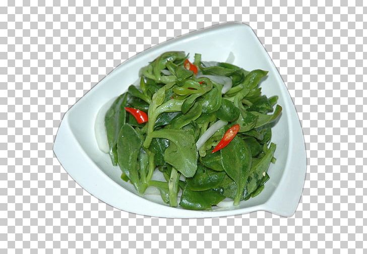 Common Purslane Vegetable Vegetarian Cuisine Food Eating PNG, Clipart, Cold, Cold Dish, Drinking, Eating, Food Free PNG Download