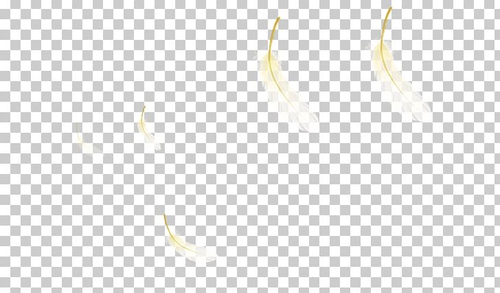 Light Reflection Symmetry Line White Pattern PNG, Clipart, Angle, Animals, Black, Circle, Feather Free PNG Download