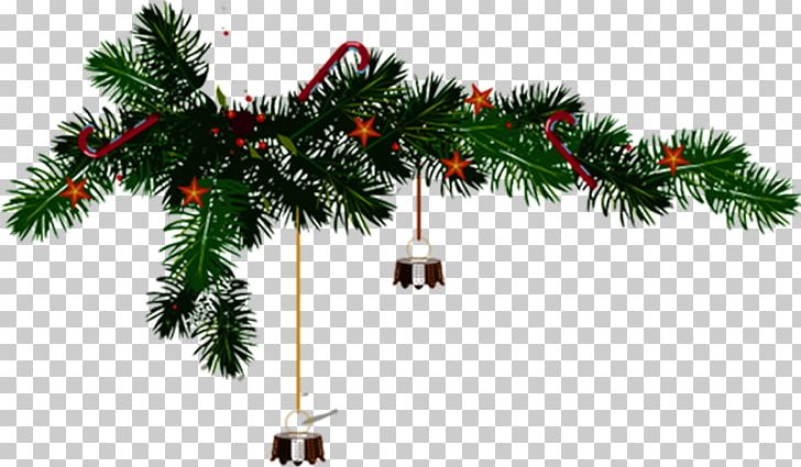 Christmas Tree Pine PNG, Clipart, Branch, Christmas, Christmas Border, Christmas Card, Christmas Decoration Free PNG Download