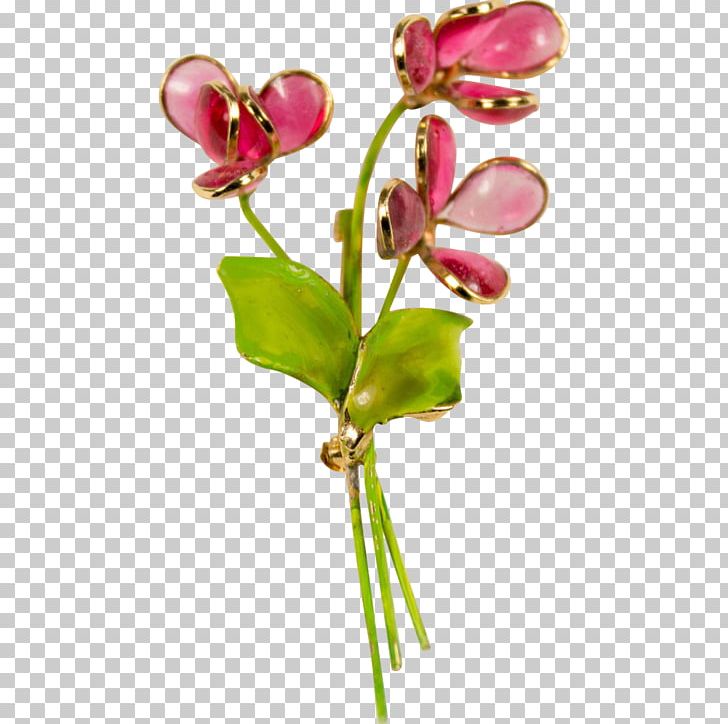 Moth Orchids Cut Flowers Bud Plant Stem Body Jewellery PNG, Clipart, Body Jewellery, Body Jewelry, Bud, Cut Flowers, Embroidering Free PNG Download