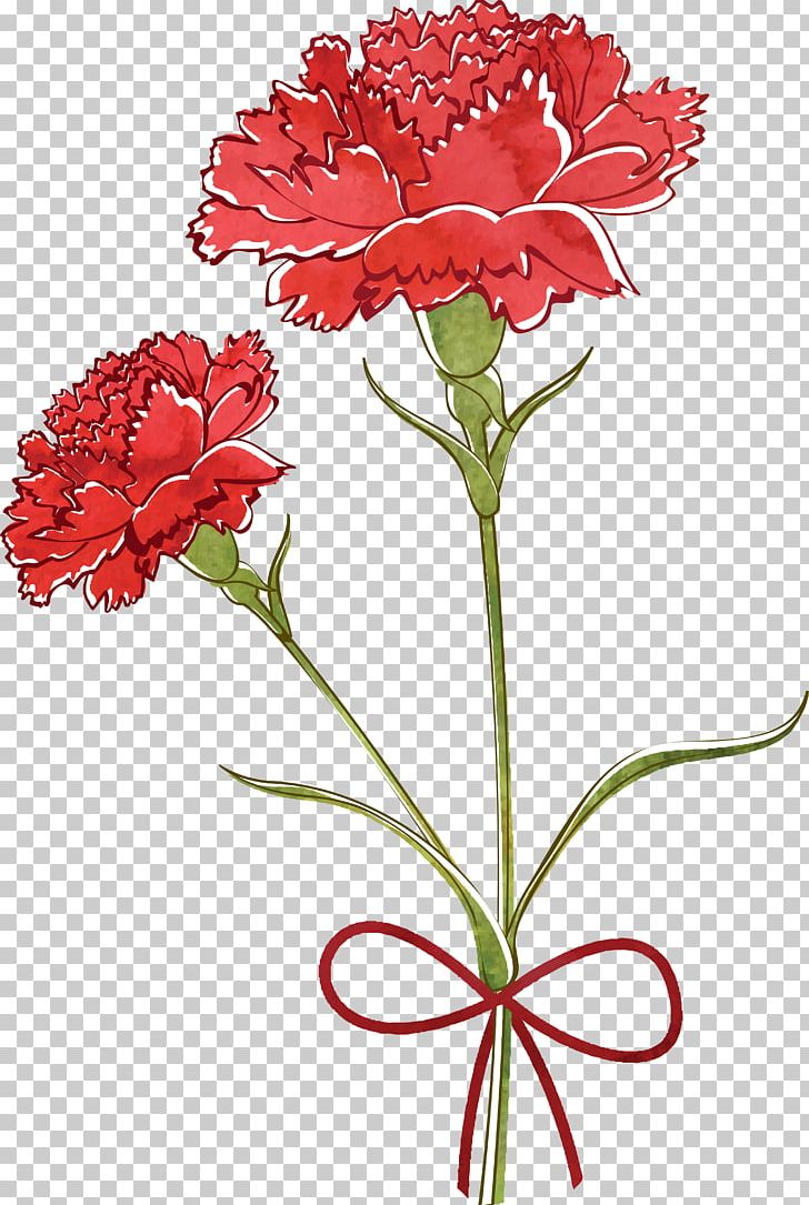 Free Carnation Flower Png With - Pink Carnation Single Drawing,Carnation  Png - free transparent png images - pngaaa.com