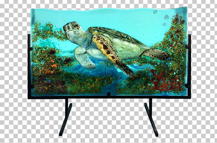 Loggerhead Sea Turtle Fused Glass Dichroic Glass PNG, Clipart, Advertising, Bowl, Dichroic Glass, Display Device, Ecosystem Free PNG Download