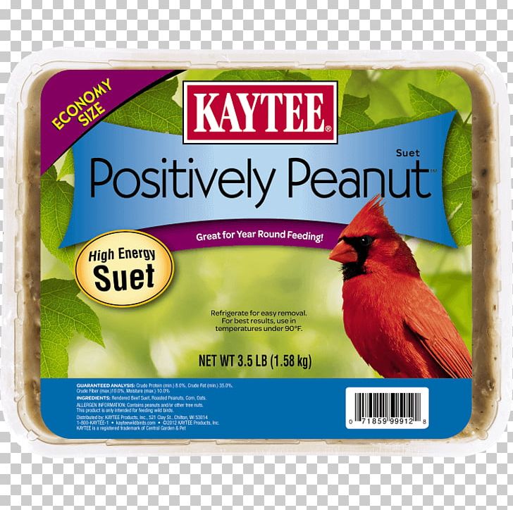Bird Food Kaytee 3.5-Pound Suet And Seed Large Bird Feeders Amazon.com PNG, Clipart, Amazoncom, Animals, Beak, Bird, Bird Feeders Free PNG Download