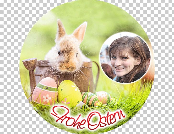 Easter Bunny Good Friday Easter Egg Egg Hunt PNG, Clipart,  Free PNG Download