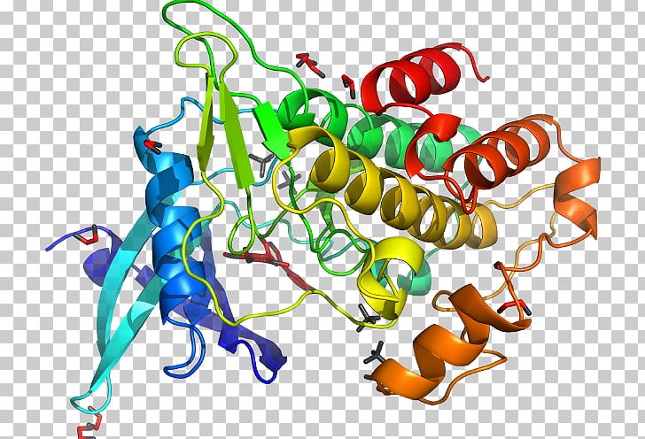 MAP3K7 Mitogen-activated Protein Kinase Kinase Enzyme PNG, Clipart, Acvr1, Area, Artwork, Cell Signaling, Enzyme Free PNG Download