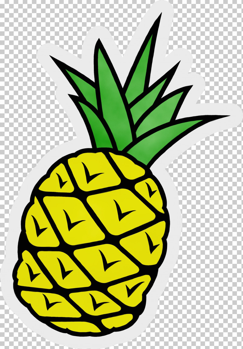Pineapple PNG, Clipart, Biology, Commodity, Leaf, Mtree, Paint Free PNG Download