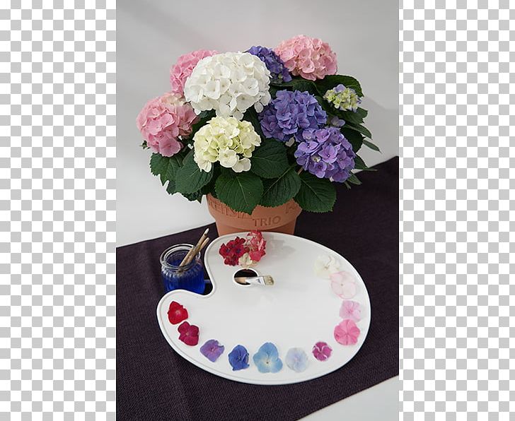 French Hydrangea Flower Floral Design Pink Petal PNG, Clipart, Artificial Flower, Color, Cornales, Dishware, Floral Design Free PNG Download