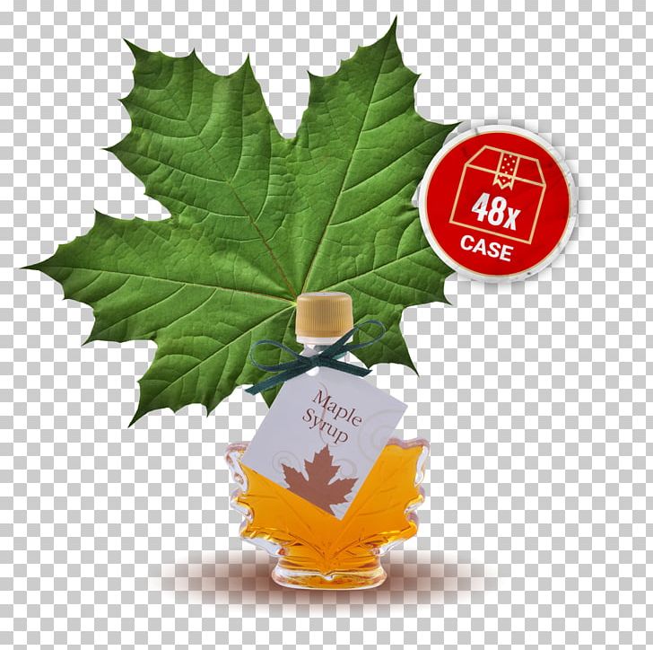 Canadian Cuisine Maple Syrup Maple Sugar French Toast PNG, Clipart,  Free PNG Download