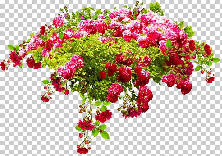 Birthday Flower Bouquet Daytime International Day For Older Persons Holiday PNG, Clipart, Birth, Birthday, Branch, Cut Flowers, Daytime Free PNG Download