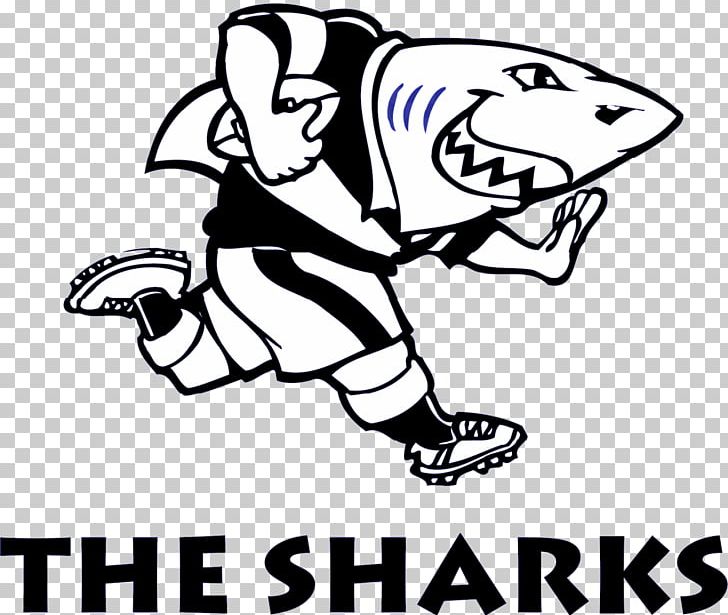 Sharks 2018 Super Rugby Season Stormers Kings Park Stadium Hurricanes PNG, Clipart, 2018 Super Rugby Season, Animals, Area, Art, Artwork Free PNG Download
