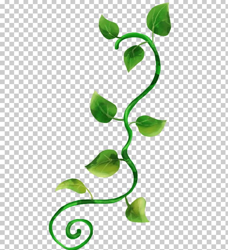 Product Design Green Plant Stem PNG, Clipart, Branch, Branching, Flora, Flower, Green Free PNG Download