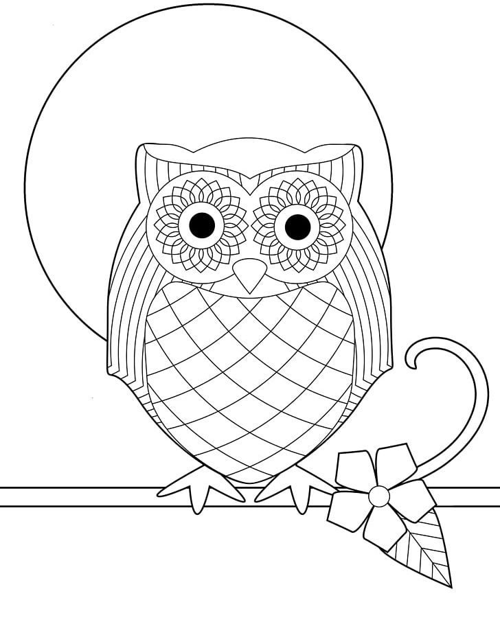 Snowy Owl Bird Coloring Book Adult PNG, Clipart, Adult, Angle, Area, Artwork, Beak Free PNG Download