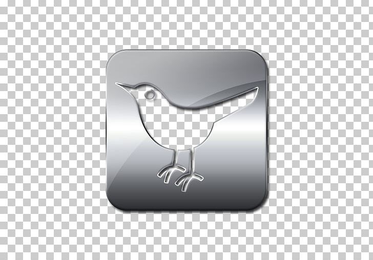 Social Media Computer Icons Training Silver PNG, Clipart, Beak, Bird, Communicatiemiddel, Communication, Computer Icons Free PNG Download