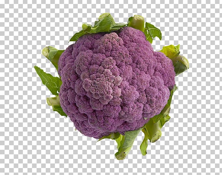 Cauliflower Broccoli Cabbage Chou Brussels Sprout PNG, Clipart, Bok Choy, Brassica Oleracea, Broccoli, Brussels Sprout, Cabbage Free PNG Download