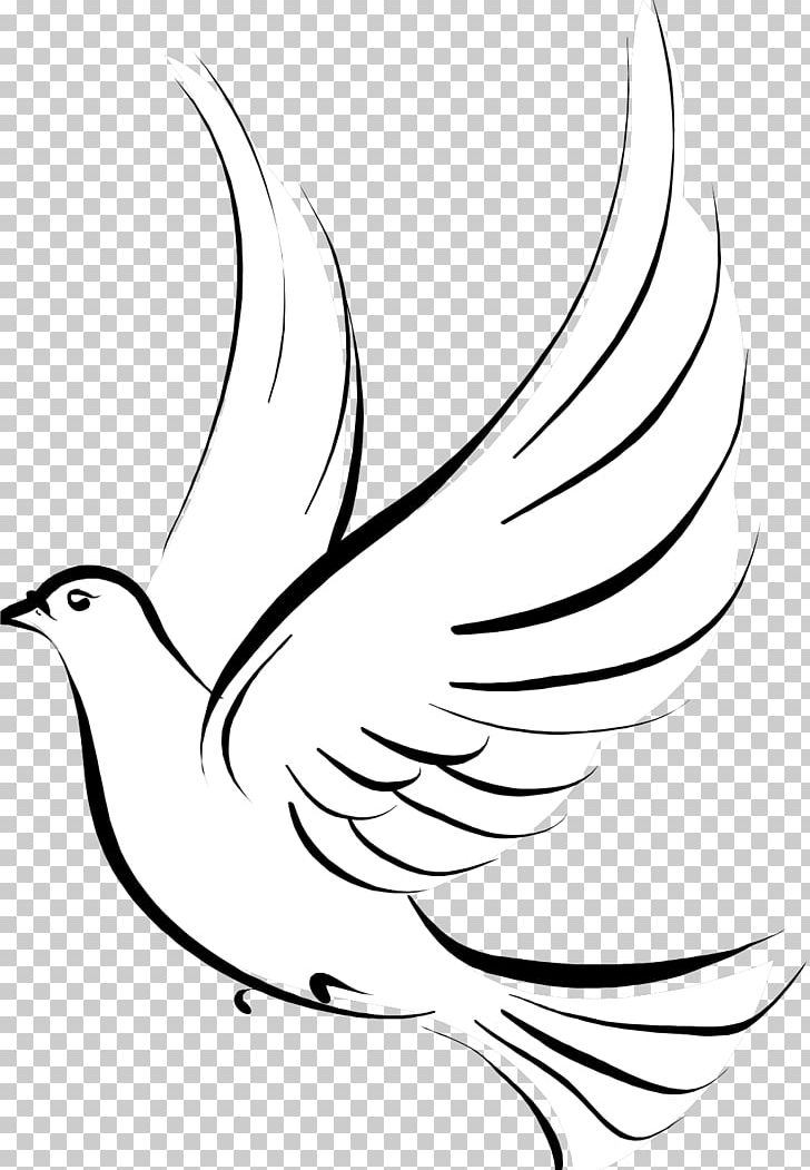 Pigeons And Doves Doves As Symbols Bird Tattoo PNG, Clipart, Animals, Art, Artwork, Bird, Chicken Free PNG Download