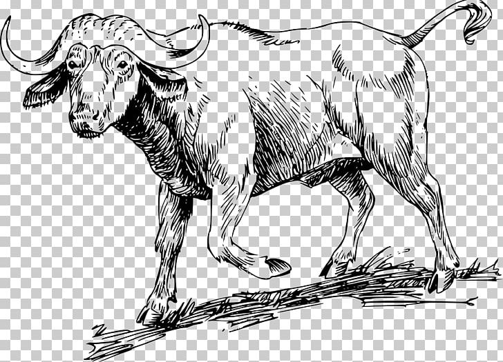 Water Buffalo American Bison African Buffalo Drawing PNG, Clipart, Animal Figure, Animals, Art, Artwork, Bison Free PNG Download