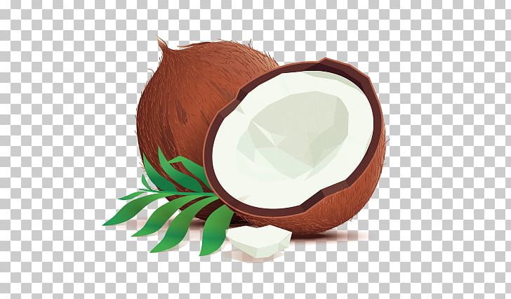 Coconut Water Illustration Drawing Graphics PNG, Clipart, Book Illustration, Coconut, Coconut Water, Drawing, Dribbble Free PNG Download