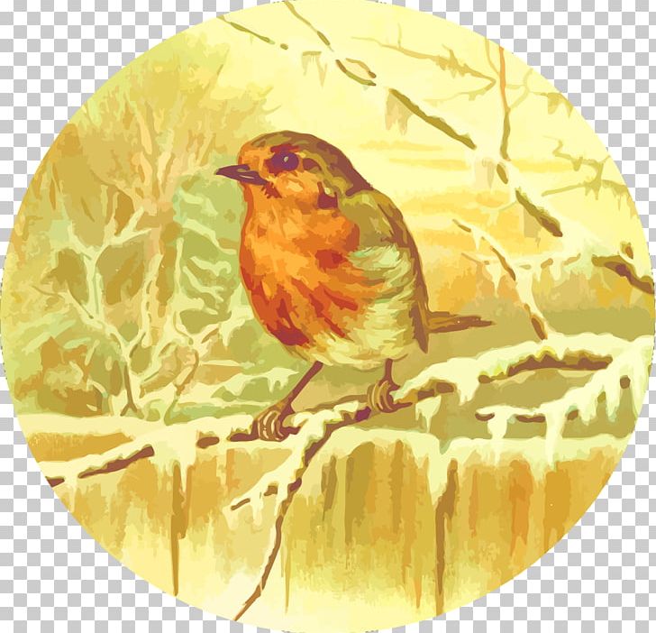 European Robin Wren Bird PNG, Clipart, Animals, Beak, Bird, Branch, Emberizidae Free PNG Download