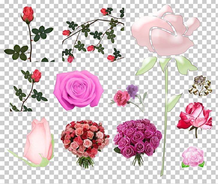 Garden Roses Pink Centifolia Roses Cut Flowers PNG, Clipart, Annual Plant, Artificial Flower, Centifolia Roses, Cut Flowers, Flora Free PNG Download