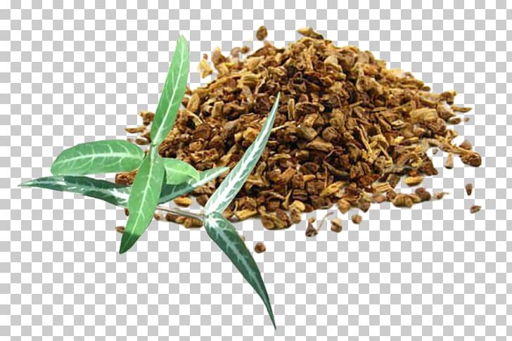 Hemidesmus Indicus Jamaica Sarsaparilla Herb Medicinal Plants PNG, Clipart, Aloe Vera, Ayurveda, Cinnamon Bark, Commodity, Extract Free PNG Download