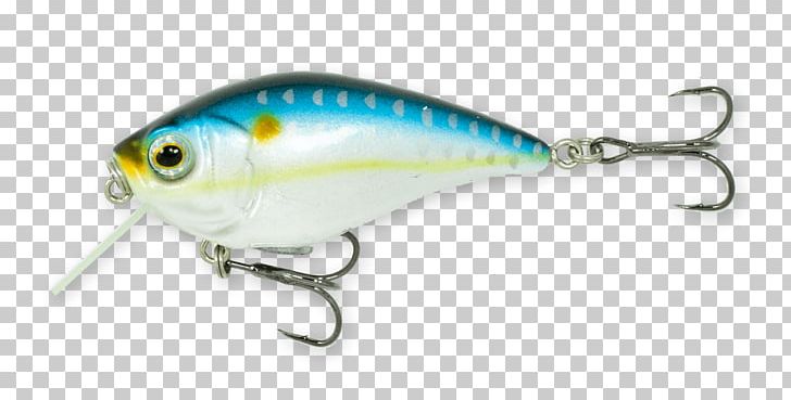 Plug Northern Pike Fishing With Lures Fishing Baits & Lures PNG, Clipart,  Amp, Bait, Baits, Field