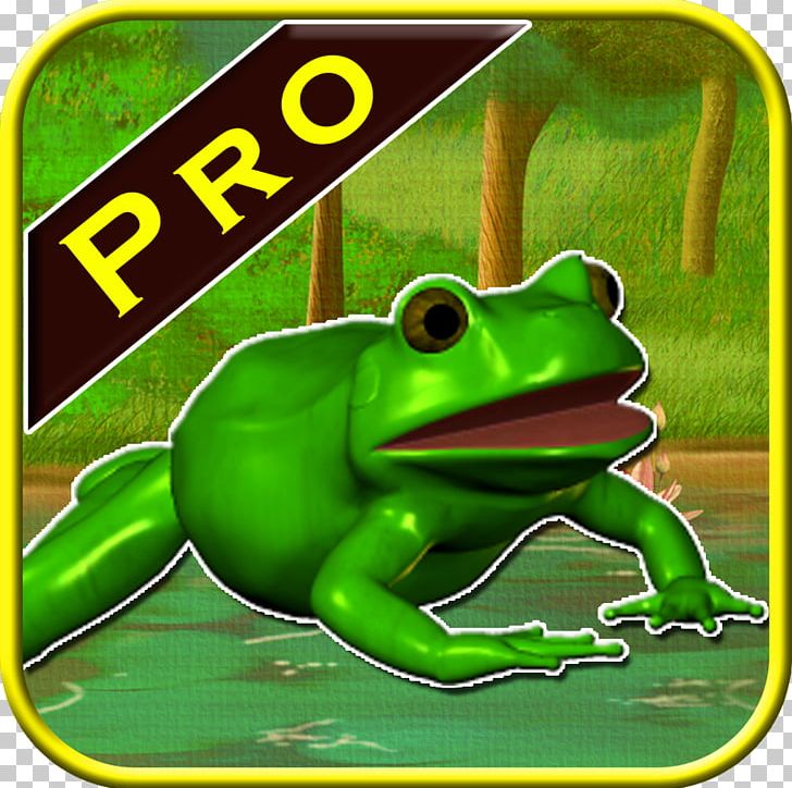 True Frog Tree Frog Toad PNG, Clipart, Adventure, Amphibian, Animals, Animated Cartoon, Fauna Free PNG Download