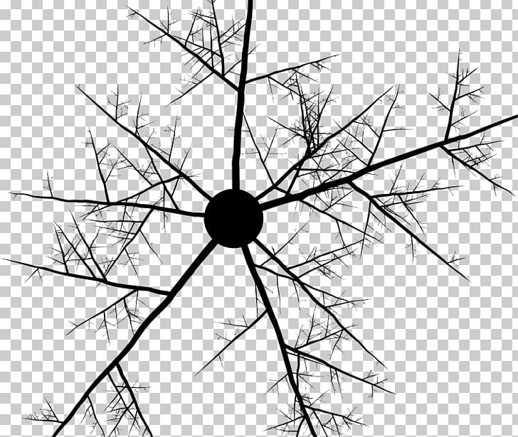 Twig Tree PNG, Clipart, Angle, Area, Artwork, Black, Black And White Free PNG Download