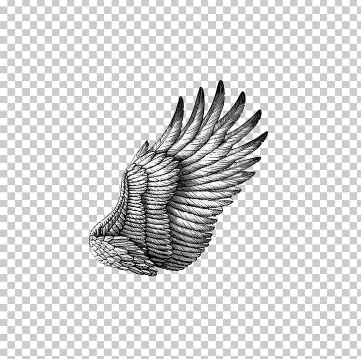 Black And White Drawing Scratchboard Illustration PNG, Clipart, Angel Wing, Angel Wings, Beak, Bird, Bird Of Prey Free PNG Download
