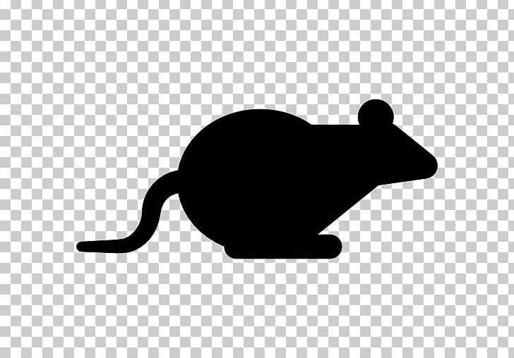 Rodent Cat Computer Mouse Muroidea PNG, Clipart, Animal, Animals, Beaver, Black, Black And White Free PNG Download