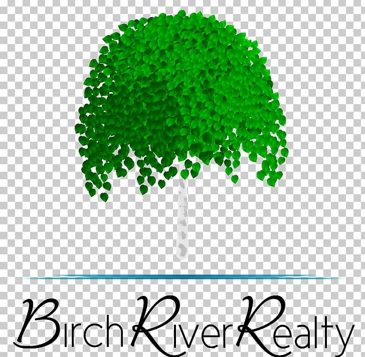 Birch River Realty Birch River Drive Achasta Tree Brand PNG, Clipart, Area, Brand, Dahlonega, Georgia, Grass Free PNG Download