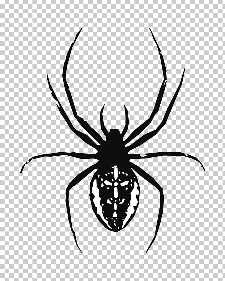 Spider Web Southern Black Widow PNG, Clipart, Arachnid, Art, Arthropod, Black, Cartoon Free PNG Download