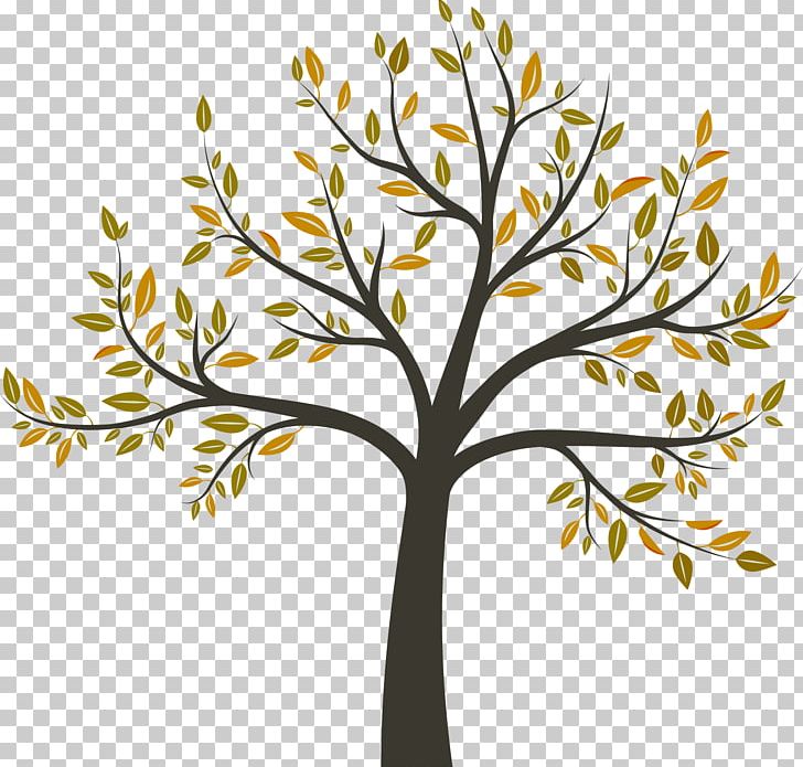 Tree Arborist Arboriculture PNG, Clipart, Arboriculture, Arborist, Arecaceae, Branch, Consultant Free PNG Download