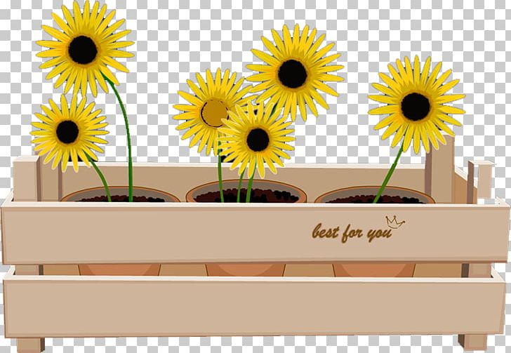 Common Sunflower PNG, Clipart, Ado, Adobe Flash Player, Daisy Family, Encapsulated Postscript, Flower Free PNG Download