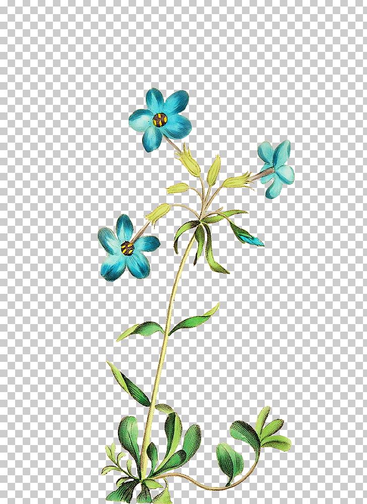 Cut Flowers Floral Design PNG, Clipart, Blue, Body Jewelry, Branch, Cut Flowers, Digital Scrapbooking Free PNG Download