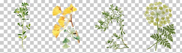 Cut Flowers Plant Stem RODION TRIO Flora Stamperia PNG, Clipart, Animal, Arrangement, Art, Branch, Cut Flowers Free PNG Download