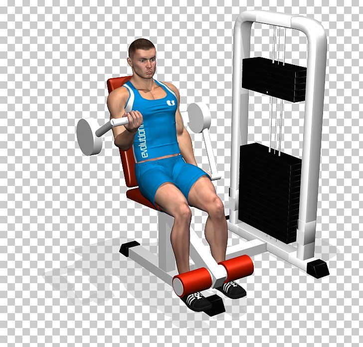 Weight Training Crunch Abdominal Exercise Rectus Abdominis Muscle PNG, Clipart, Abdomen, Abdominal Exercise, Arm, Biceps, Bodybuilding Free PNG Download