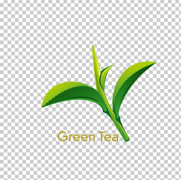 Green Tea Coffee Juice Lemonade PNG, Clipart, Brand, Camellia Sinensis, Coffee, Computer Icons, Computer Wallpaper Free PNG Download