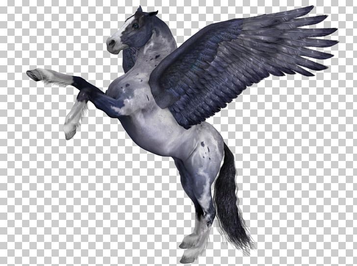 Pegasus Pony Wing Pintabian PNG, Clipart, Animaatio, Beak, Bird, Bird Of Prey, Drawing Free PNG Download