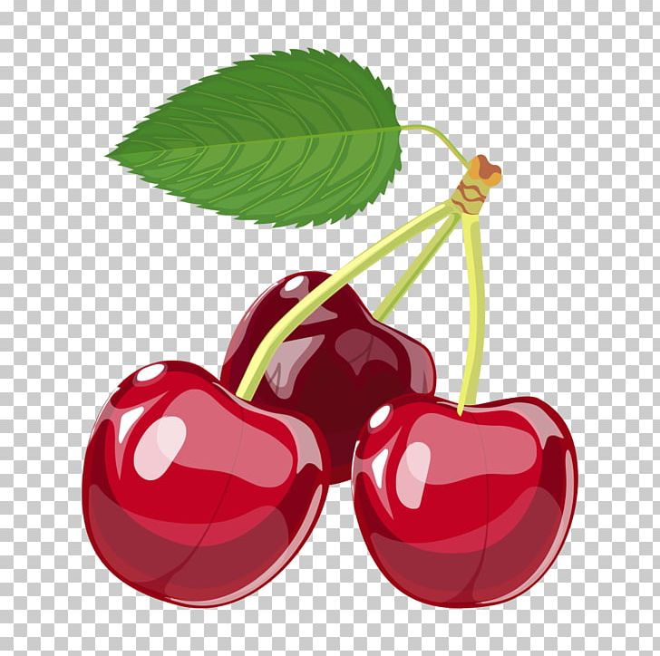 Cherry Berry Cartoon PNG, Clipart, Auglis, Balloon Cartoon, Berry, Boy Cartoon, Cartoon Free PNG Download