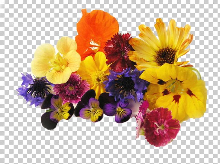 Edible Flower Cut Flowers Organic Food Salad PNG, Clipart, Annual Plant, Cut Flowers, Edible Flower, Floral Design, Floristry Free PNG Download