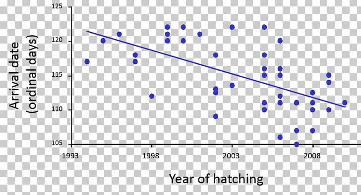 Graph Of A Function Black-tailed Godwit Plot Bird Migration PNG, Clipart, Angle, Animal, Animal Migration, Animals, Bar Chart Free PNG Download