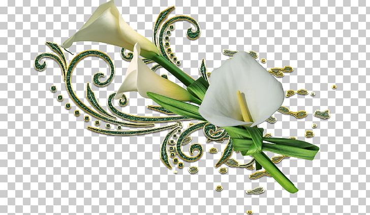 Flower Arranging Others Flower PNG, Clipart, Calla Lily, Cicek, Cicek Resimleri, Cut Flowers, Dots Per Inch Free PNG Download