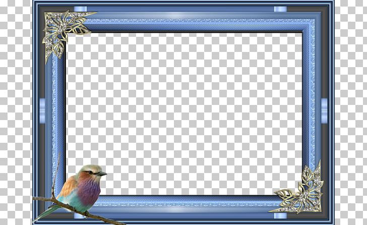 Bird Frame Blue Photography PNG, Clipart, Animals, Animation, Bird, Birds,  Blue Free PNG Download