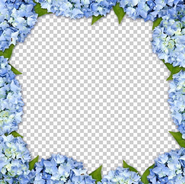 Hydrangea Frame Flower PNG, Clipart, Background, Blossom, Blue, Border, Border Frame Free PNG Download