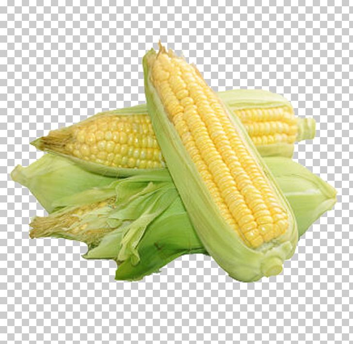 Corn On The Cob Maize Food Sweet Corn PNG, Clipart, Cartoon Corn, Commodity, Corn, Corn Cartoon, Corn Flakes Free PNG Download