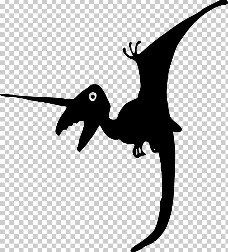 Dinosaur Questions Compsognathus Velociraptor PNG, Clipart, Animals, Beak, Bird, Black And White, Compsognathus Free PNG Download