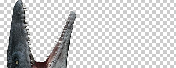 Mosasaurus Velociraptor Dinosaur Jurassic Park Plesiosaurus PNG, Clipart, Art, Dinosaur, Film, Footwear, Indominus Rex Free PNG Download