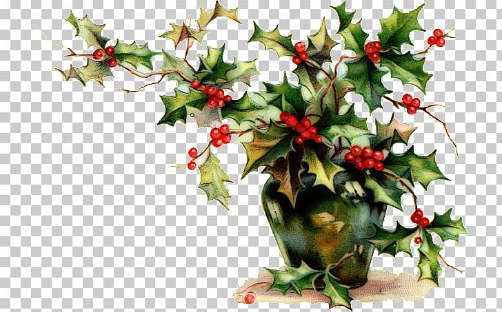 Christmas Ornament Christmas Decoration Common Holly Mistletoe PNG, Clipart, Advent, Advent Wreath, Aquifoliaceae, Aquifoliales, Branch Free PNG Download