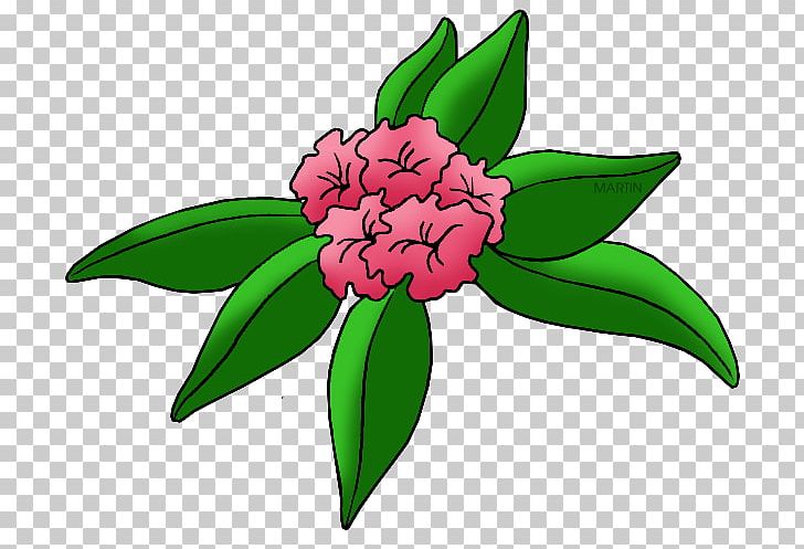 Washington West Virginia Rhododendron PNG, Clipart, Coast, Drawing, Flora, Floral Design, Floristry Free PNG Download