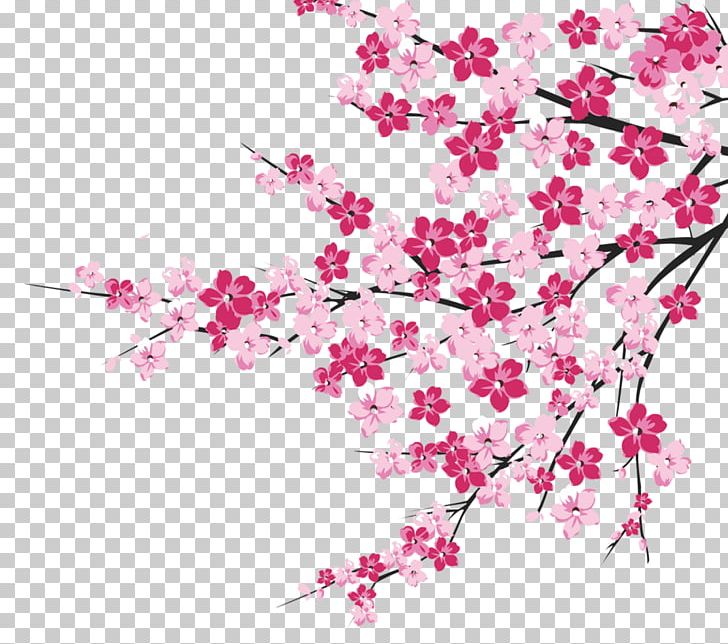 Cherry Blossom PNG, Clipart, Autumn Tree, Blossom, Branch, Branches, Cherry Free PNG Download